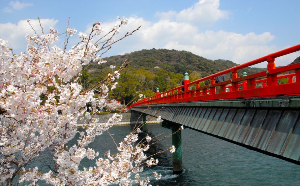 京都駅から20分で、世界遺産をめぐる卒業旅行「宇治」