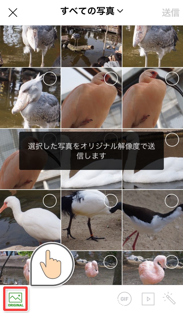 LINE写真選択画面