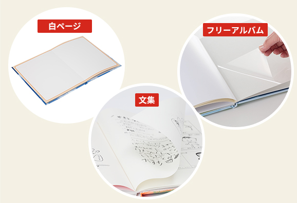オプションページ追加可能