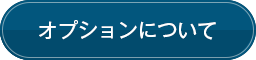 オプションについて