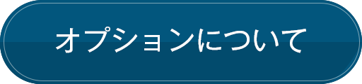 オプションについて