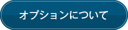 オプションについて