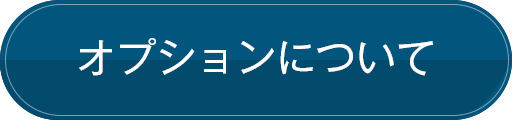 オプションについて